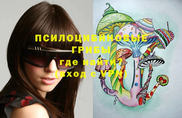 a pvp Абаза